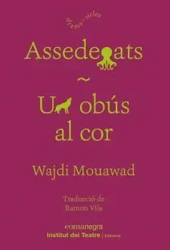 ASSEDEGATS. UN OBÚS AL COR