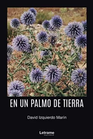 En un Palmo de Tierra