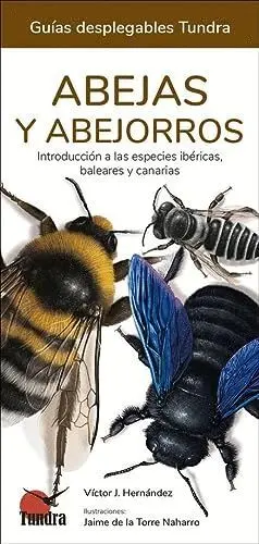 ABEJAS Y ABEJORROS - GUIAS DESPLEGABLES TUNDRA. INTRODUCCION A LAS ESPECIES IBERICAS, BALEARES Y CAN