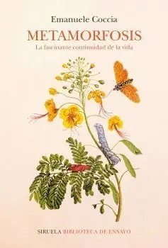 METAMORFOSIS. <BR>