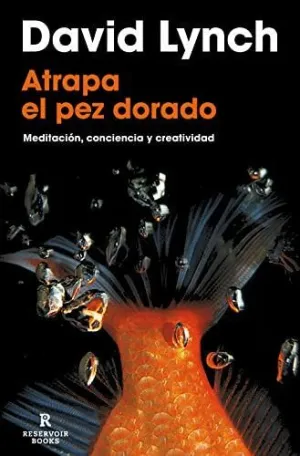 ATRAPA EL PEZ DORADO: MEDITACION, CONCIENCIA Y CREATIVIDAD