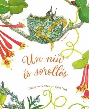 UN NIU ÉS SOROLLÓS.
