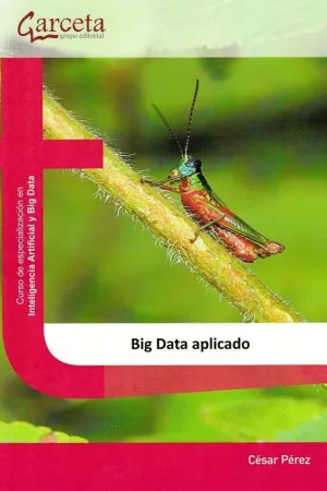 BIG DATA APLICADO.