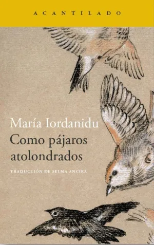 COMO PÁJAROS ATOLONDRADOS.