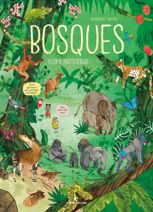 BOSQUES. Y CÓMO PROTEGERLOS