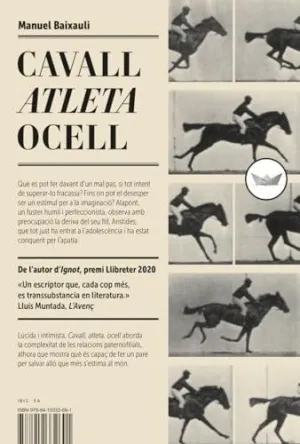 CAVALL, ATLETA, OCELL