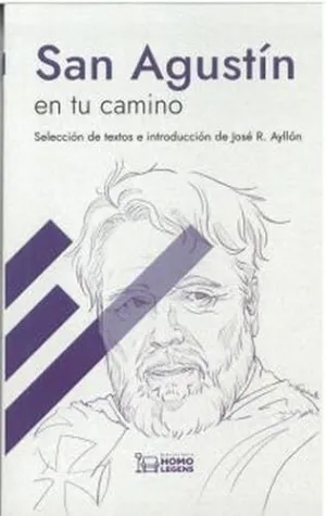 SAN AGUSTÍN EN TU CAMINO