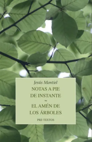 NOTAS A PIE DE INSTANTE / EL AMÉN DE LOS ÁRBOLES.