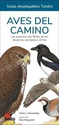 AVES DEL CAMINO - GUIAS DESPLEGABLES TUNDRA. LAS ESPECIES MAS FACILES DE VER DESDE LAS CARRETERAS Y