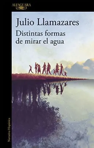 DISTINTAS FORMAS DE MIRAR EL AGUA
