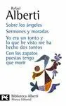 SOBRE LOS ÁNGELES - SERMONES Y MORADAS - YO ERA UN TONTO Y LO QUE HE VISTO ME HA HECHO DOS TONTOS -