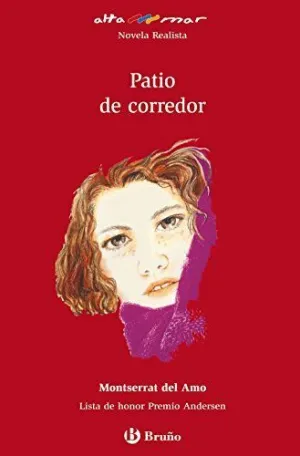 PATIO DE CORREDOR.
