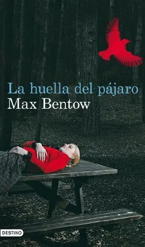 LA HUELLA DEL PAJARO