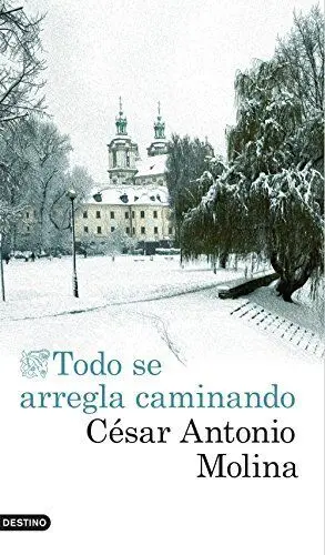 TODO SE ARREGLA CAMINANDO