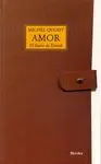 AMOR: EL DIARIO DE DANIEL
