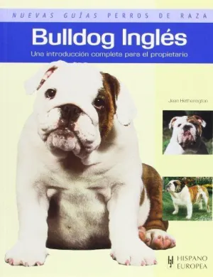 BULLDOG INGLES-NUEVAS GUIAS PERROS DE RAZA BULLDOG INGLES-NUEVAS GUIAS PERROS DE RAZA