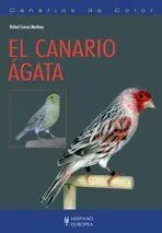 CANARIO AGATA - CANARIOS DE COLOR CANARIO AGATA - CANARIOS DE COLOR