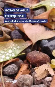 GOTAS DE AGUA EN SEQUEDAL.
