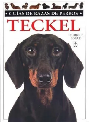 Teckel Guias Razas Perros