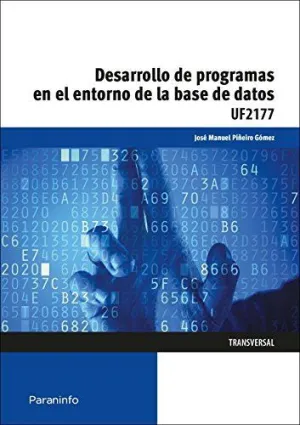 DESARROLLO DE PROGRAMAS EN EL ENTORNO DE LA BASE DE DATOS DESARROLLO DE PROGRAMAS EN EL ENTORNO DE LA BASE DE DATOS