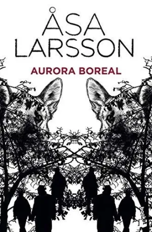 AURORA BOREAL