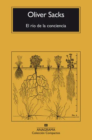 RÍO DE LA CONCIENCIA, EL - CM
