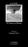 EL LLANO EN LLAMAS