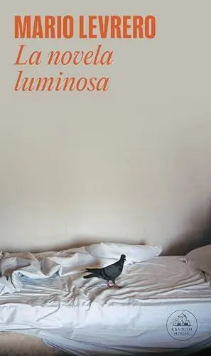 LA NOVELA LUMINOSA LA NOVELA LUMINOSA