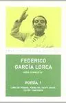 OBRA COMPLETA I: POESÍA, 1