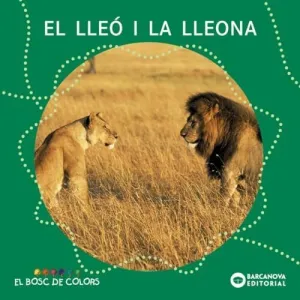 EL LLEÓ I LA LLEONA EL LLEÓ I LA LLEONA
