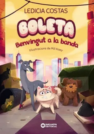 BOLETA. BENVINGUT A LA BANDA.