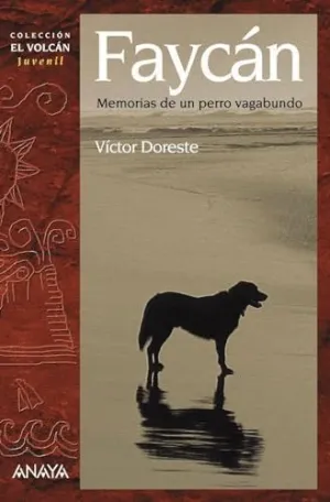 FAYCÁN. MEMORIAS DE UN PERRO VAGABUNDO