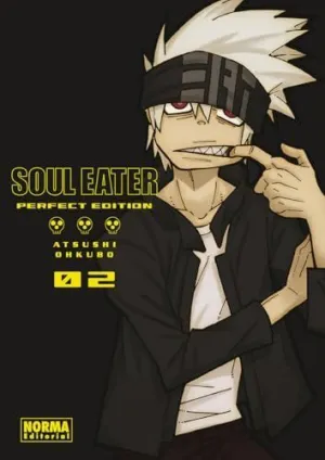 Soul Eater Perfect Edition 02