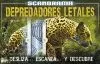 SCANORAMA: DEPREDADORES LETALES