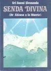 SENDA DIVINA: DE AHIMSA A LA MUERTE. SENDA DIVINA: DE AHIMSA A LA MUERTE.