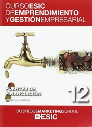 FUENTES DE FINANCIACION: CURSO ESIC DE EMPRENDIMIENTO Y GESTION EMPRESARIAL 12