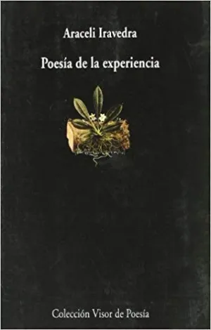 POESIA DE LA EXPERIENCIA <BR>