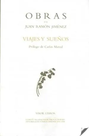 VIAJES Y SUEÑOS