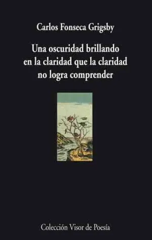 UNA OSCURIDAD BRILLANDO EN LA CLARIDAD QUE LA CLARIDAD NO LOGRA COMPRENDER