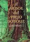 EL ÁRBOL DEL VIEJO BOSQUE