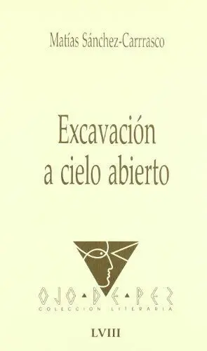 EXCAVACIÓN A CIELO ABIERTO