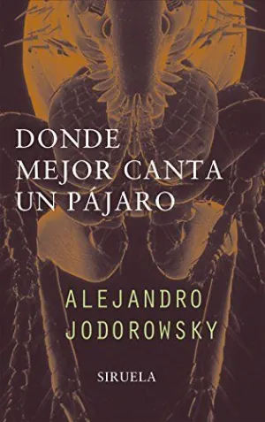DONDE MEJOR CANTA UN PAJARO DONDE MEJOR CANTA UN PAJARO