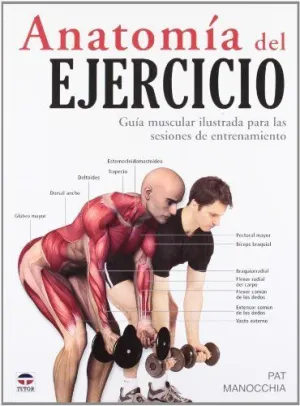 ANATOMIA DEL EJERCICIO: GUIA MUSCULAR ILUSTRADA PARA LAS SESIONES DE ENTRENAMIENTO