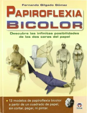 PAPIROFLEXIA BICOLOR: DESCUBRE LAS INFINITAS POSIBILIDADES DE LAS DOS CARAS DEL PAPEL