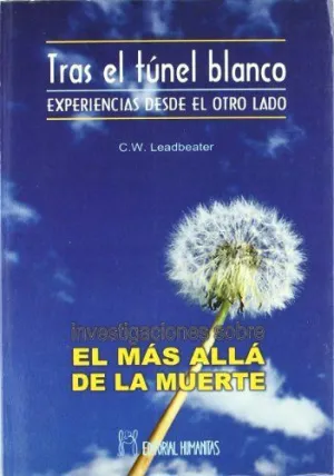 EL MÁS ALLÁ DE LA MUERTE