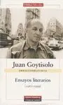 ENSAYOS LITERARIOS: OBRAS COMPLETAS (1967-1999) (VOL. VI)