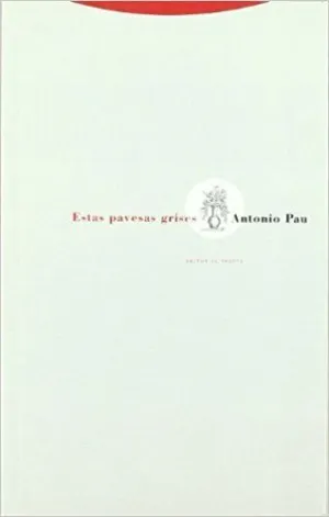 ESTAS PAVESAS GRISES