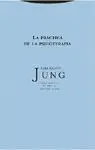 LA PRACTICA DE LA PSICOTERAPIA VOL. 16 (RUSTICA)