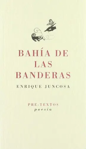BAHIA DE LAS BANDERAS      PT-862