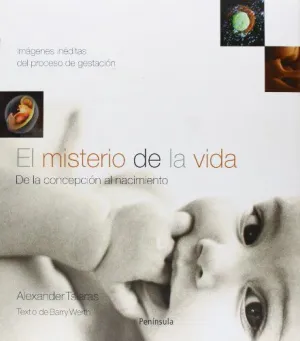 EL MISTERIO DE LA VIDA